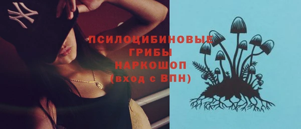 гидра Алексин