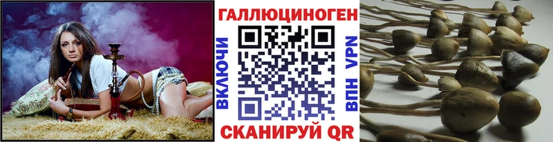 Галлюциногенные грибы Magic Shrooms  наркота  Троицк 