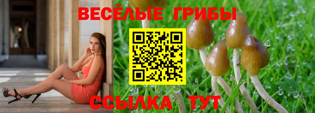 Троицк  Галлюциногенные грибы Psilocybe  Псилоцибиновые грибы Psilocybine cubensis  Вход с VPN 